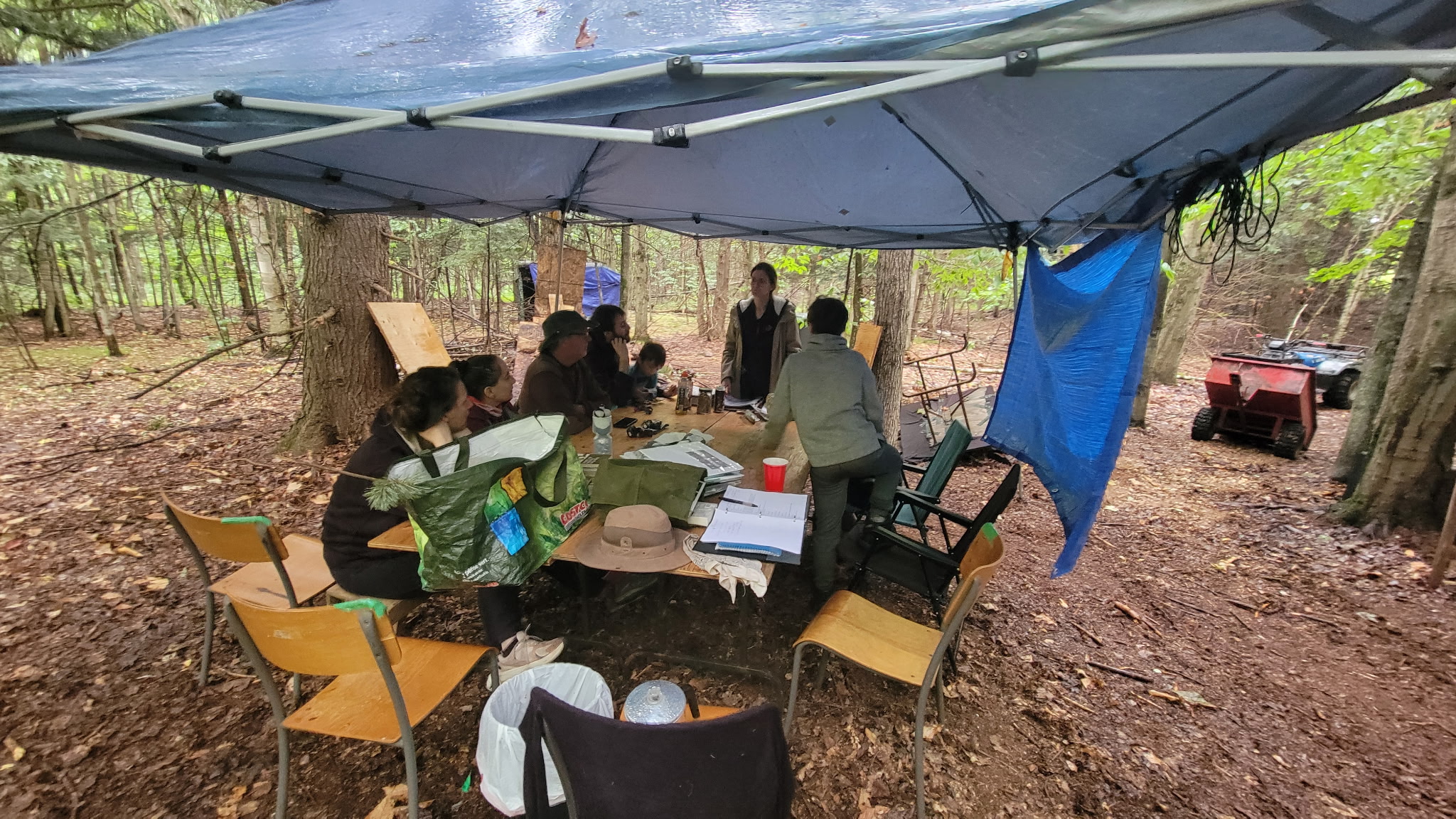Participants sous un abri en forêt